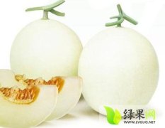 安徽砀山甜瓜供应品种全