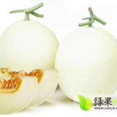 安徽砀山甜瓜供应品种全