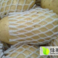 山东滕州秋季土豆大量上市了