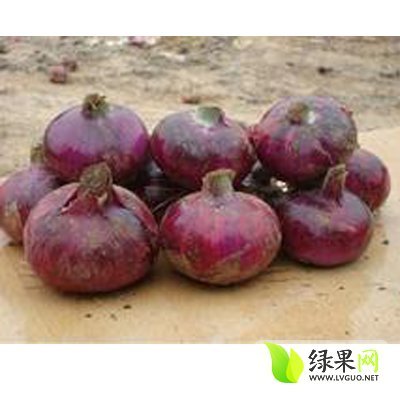 2014年山东郯城紫皮洋葱价格