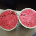 山东鲁青：青州郝先生