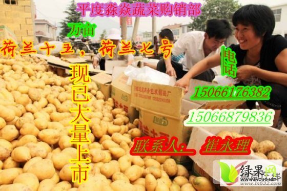 2014年山东平度荷兰十五价格