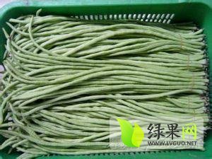 2014年山东莘县千千柳价格