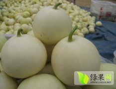 2014年安徽砀山的西瓜甜瓜已上市
