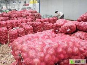 河南汝州红皮洋葱：纸坊镇邵高峰