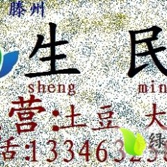山东滕州荷兰十五颜色鲜亮 个头匀称