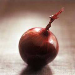 江苏丰县圆葱（卡木一）洋葱：首羡镇庄德记