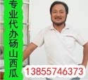 安徽砀山京欣西瓜现已大量上市