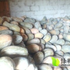 南宁西乡塘金韩密本南瓜价格在0.45元每斤