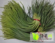 山东金乡杂交：吉术镇申海坤