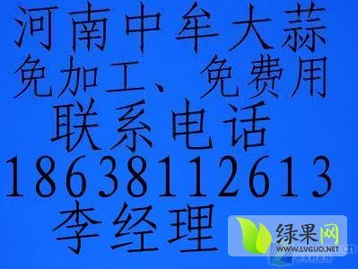 2014年河南中牟杂交蒜价格