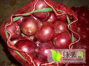 河南孟州红皮洋葱：谷旦镇花长水