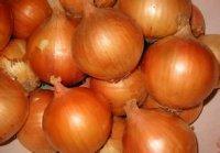 山东安丘早熟黄皮洋葱已大量上市