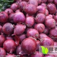 山东寒亭 圆葱 洋葱 土豆：朱里全民果蔬合作社