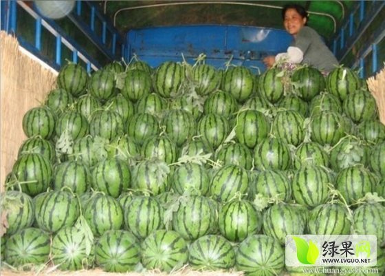 2014年陕西蒲城京欣价格