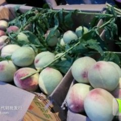 东莞下桥市场专业代销油桃-毛桃-红桃等各类桃子