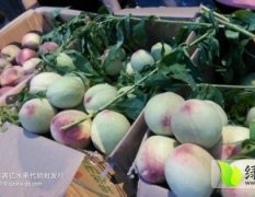 东莞下桥市场专业代销油桃-毛桃-红桃等各类桃子