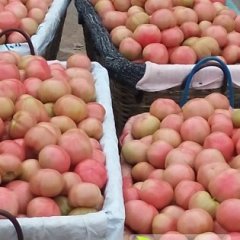 济南市玉皇庙张恒华：硬粉1,2元-