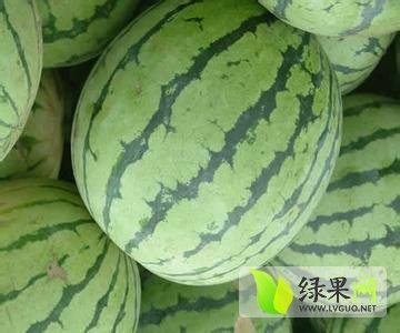 2014年安徽砀山8424西瓜价格