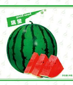 瑞星价格