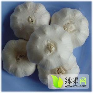 杂交蒜价格