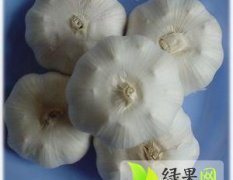 河南开封县杂交蒜今日价格在0.65-0.7元/斤