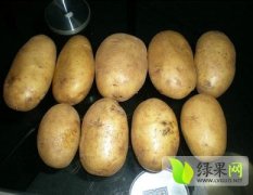 有200亩荷兰15土豆 现在已经上市 价格0.7元/斤