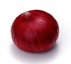 山东岱岳红皮洋葱 适于冷库储存