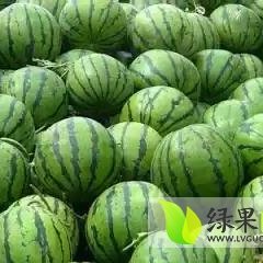 辽宁凌海西瓜大量上市