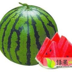 陕西蒲城京欣西瓜口感卖相都好