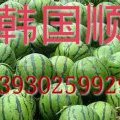 河北清苑京欣上市了！代办：韩国顺