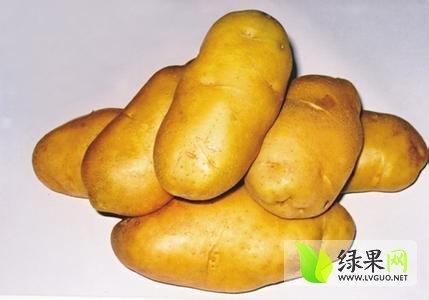 2014年山东肥城荷兰十五价格