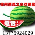 江苏万亩京欣西瓜5月初就上市了
