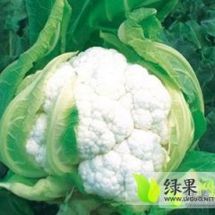 河南雪玉：孙营乡张铭硕