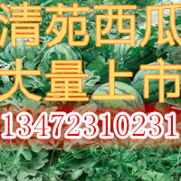 京欣价格