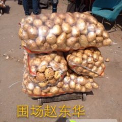 河北围场克新一号：广发永赵东华