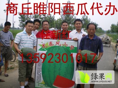 2014年河南睢阳京欣价格