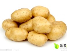 河南通许荷兰15土豆 0.33-0.4左右。