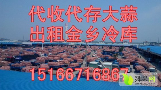 2014年山东金乡杂交蒜价格