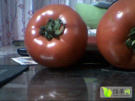 2014年山东坊子金鹏价格