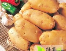 山东滕州荷兰十五土豆出售价格每斤0.75元