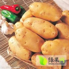 山东滕州荷兰十五土豆出售价格每斤0.75元