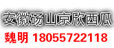 安徽砀山京欣西瓜开始大量上市了