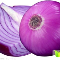山东曲阜红皮洋葱开始陆续上市