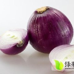 河南通许紫皮洋葱价格比往年低