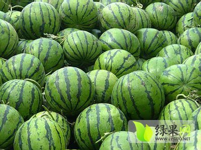 2014年河北清苑京欣价格