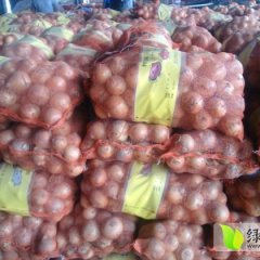 山东金乡红皮洋葱：代存代收