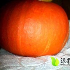 山东商河金红冠南瓜今天装车价格2元每斤