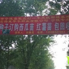 宁陵红皮洋葱，张庄耿德亮诚信合作。