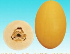 自产大个金辉甜瓜 现仅剩一个棚